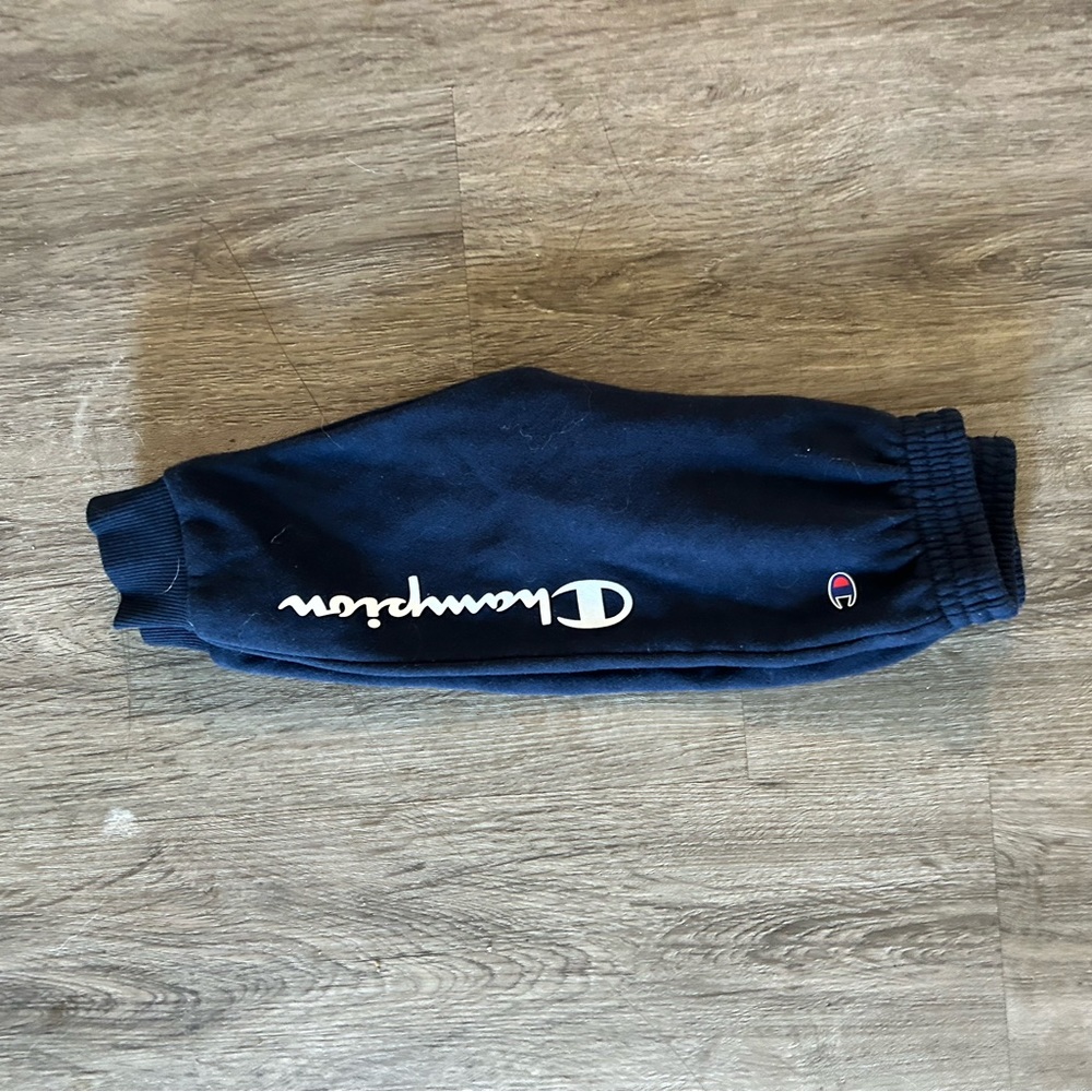 Boys 2t champion sweat pant